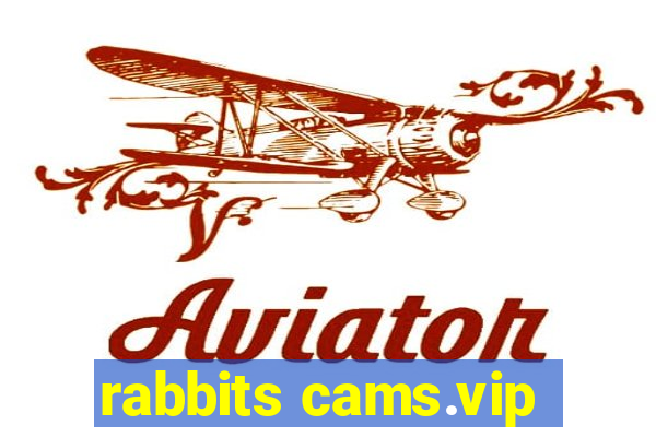 rabbits cams.vip